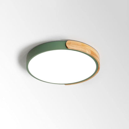 Modern Ceiling Mounted LED Light