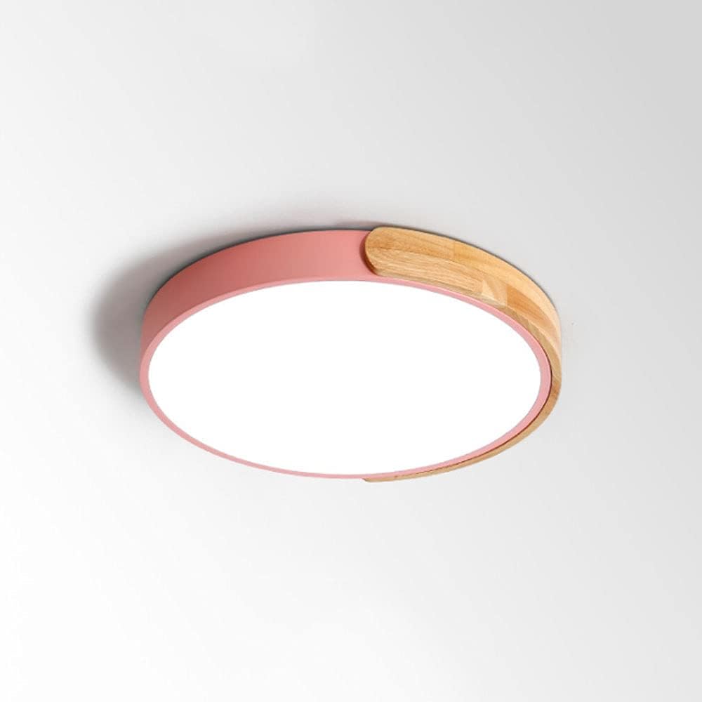 Modern Surface-Mounted LED Ceiling Light