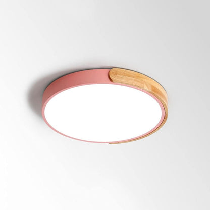 Modern Surface-Mounted LED Ceiling Light