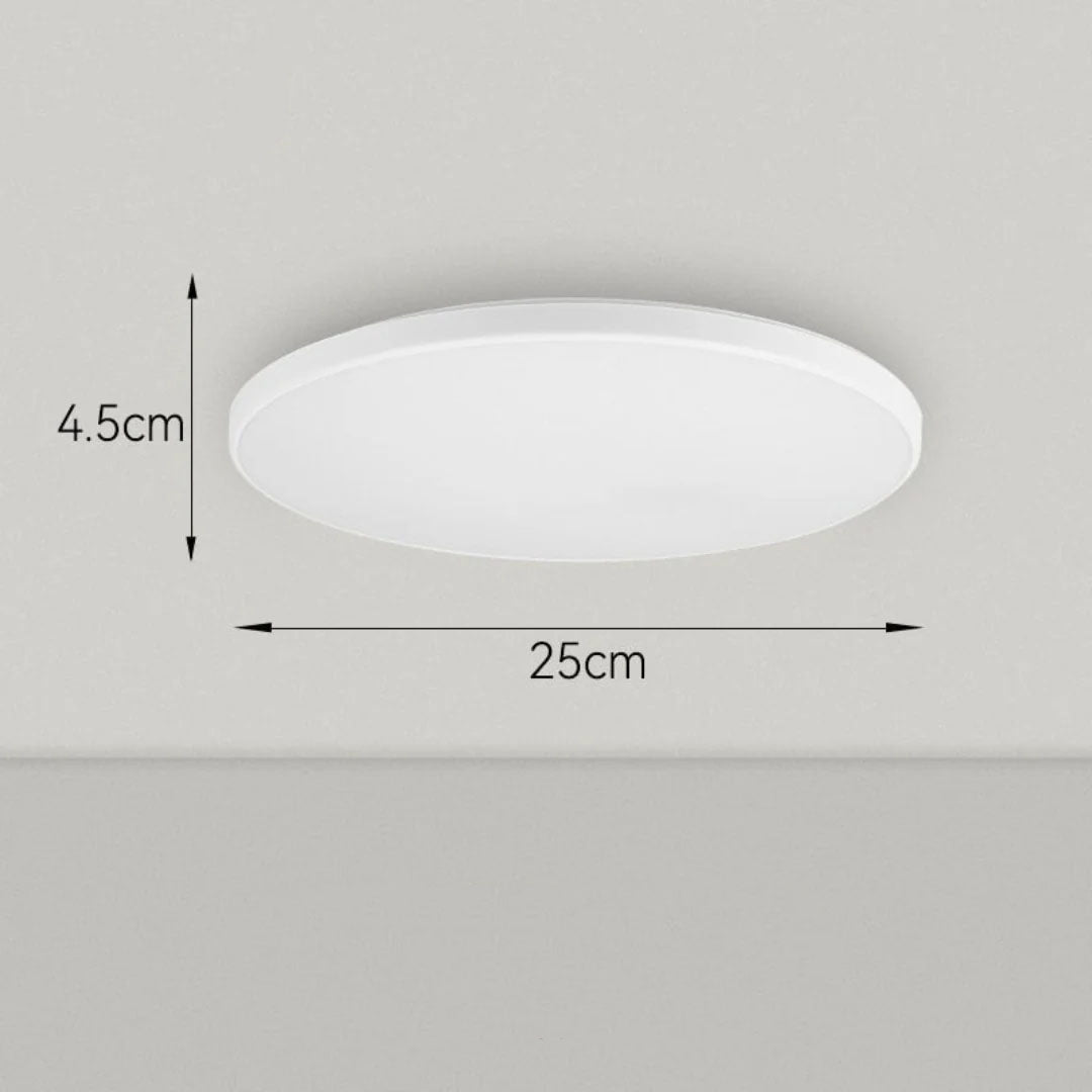 Modern Round Decorative Surface-Mounted LED Ceiling Light