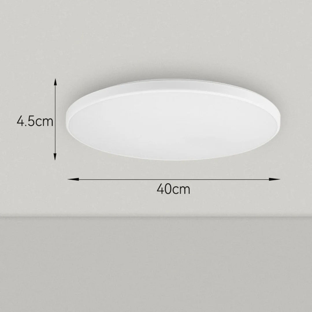 Modern Round Decorative Surface-Mounted LED Ceiling Light