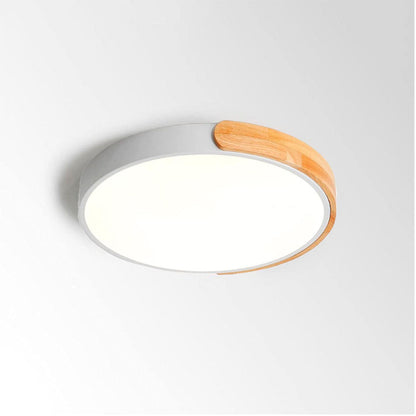 Modern Ceiling Mounted LED Light