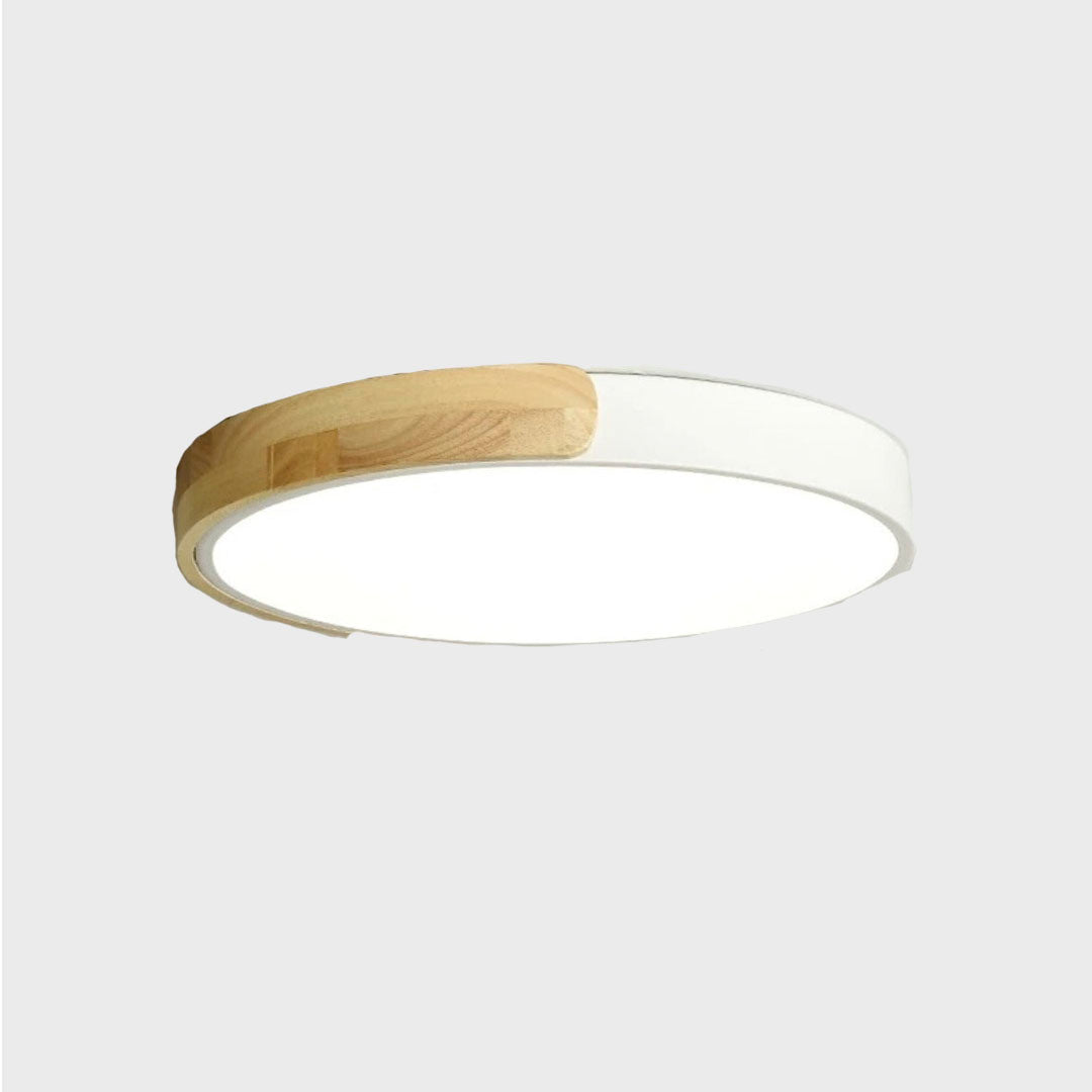 Modern Surface-Mounted LED Ceiling Light