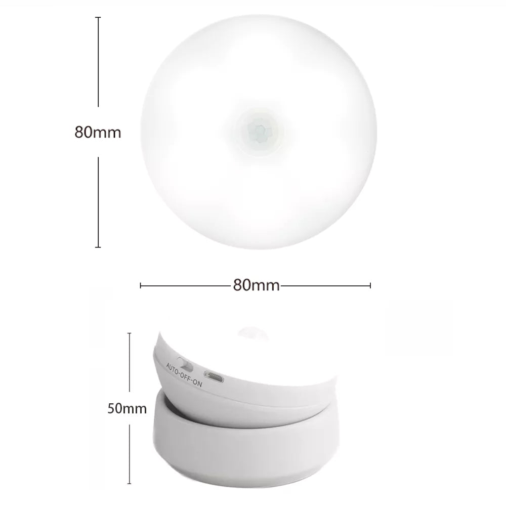 Outdoor Wall Light with Motion Sensor