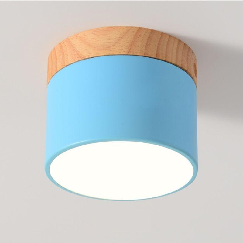 Ceiling LED Light