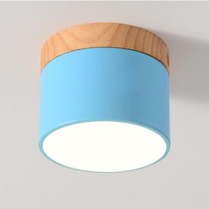 Ceiling LED Light