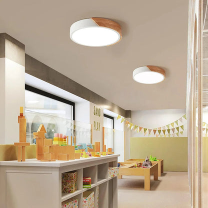 Round LED Ceiling Light Nordic Style