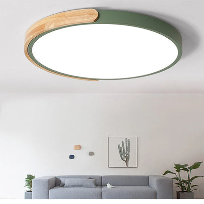 Modern Ceiling Mounted LED Light