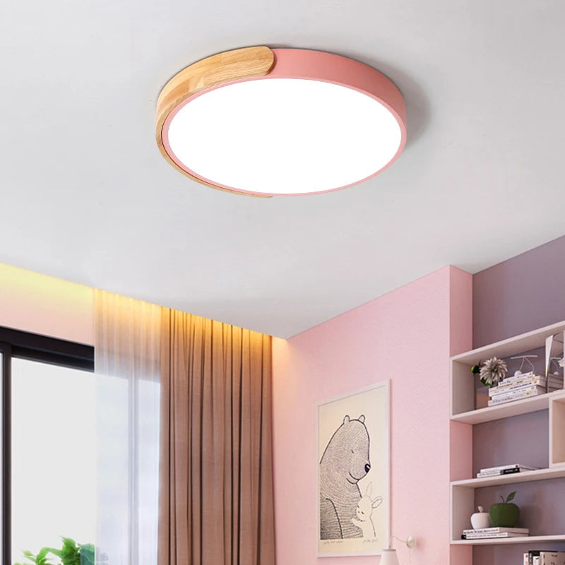 Modern Ceiling Mounted LED Light