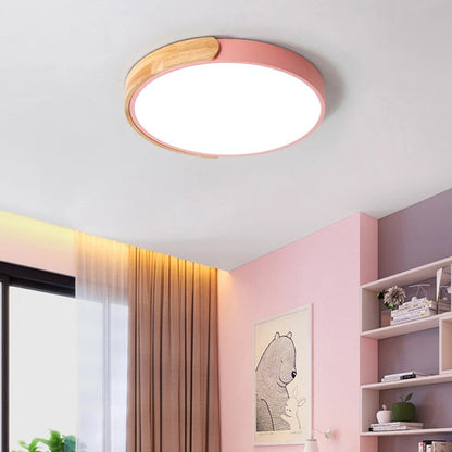 Modern Ceiling Mounted LED Light
