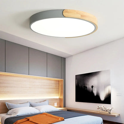 Modern Surface-Mounted LED Ceiling Light