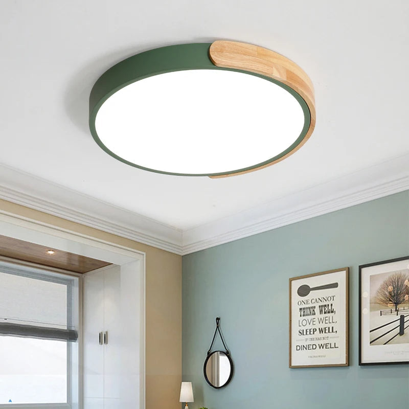 Modern Ceiling Mounted LED Light