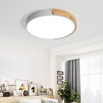Modern Surface-Mounted LED Ceiling Light